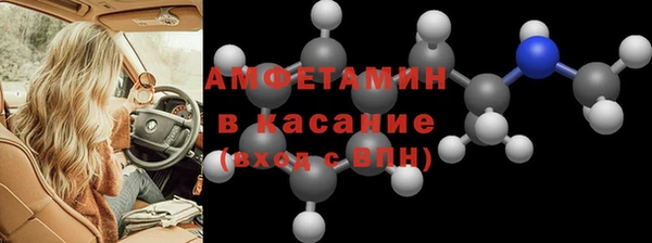 гидра Аркадак