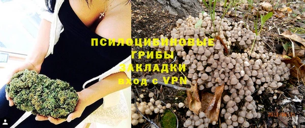 гидра Аркадак
