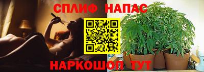 ECSTASY Донецк