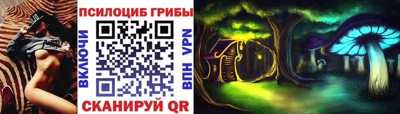 Галлюциногенные грибы GOLDEN TEACHER  darknet как зайти  Нарткала 
