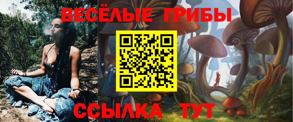 Псилоцибиновые грибы GOLDEN TEACHER Нарткала