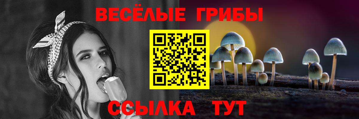 Галлюциногенные грибы Magic Shrooms  Псилоцибиновые грибы мицелий  Нарткала  Вход с VPN 